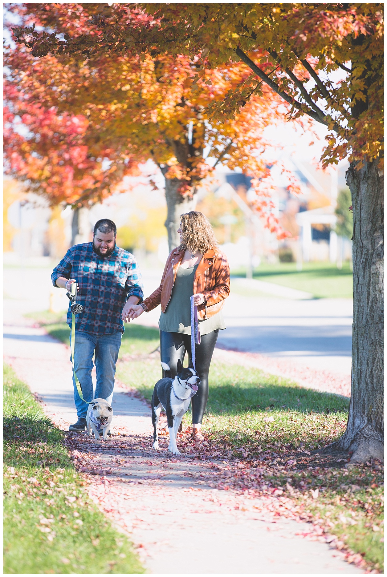 fall-pet-photos-noblesville-IN-molliewenzelphotography (22).jpg