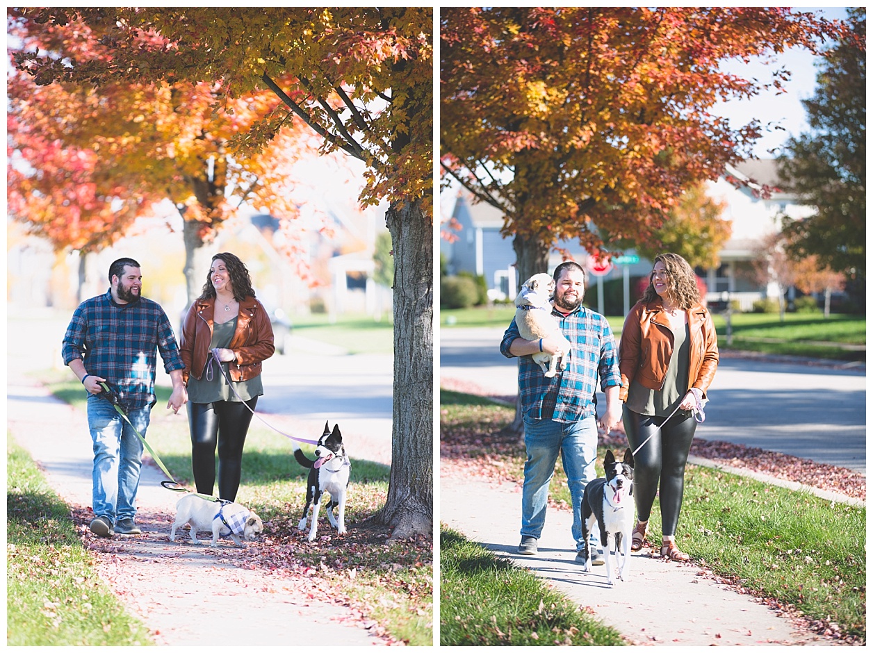 fall-pet-photos-noblesville-IN-molliewenzelphotography (23).jpg