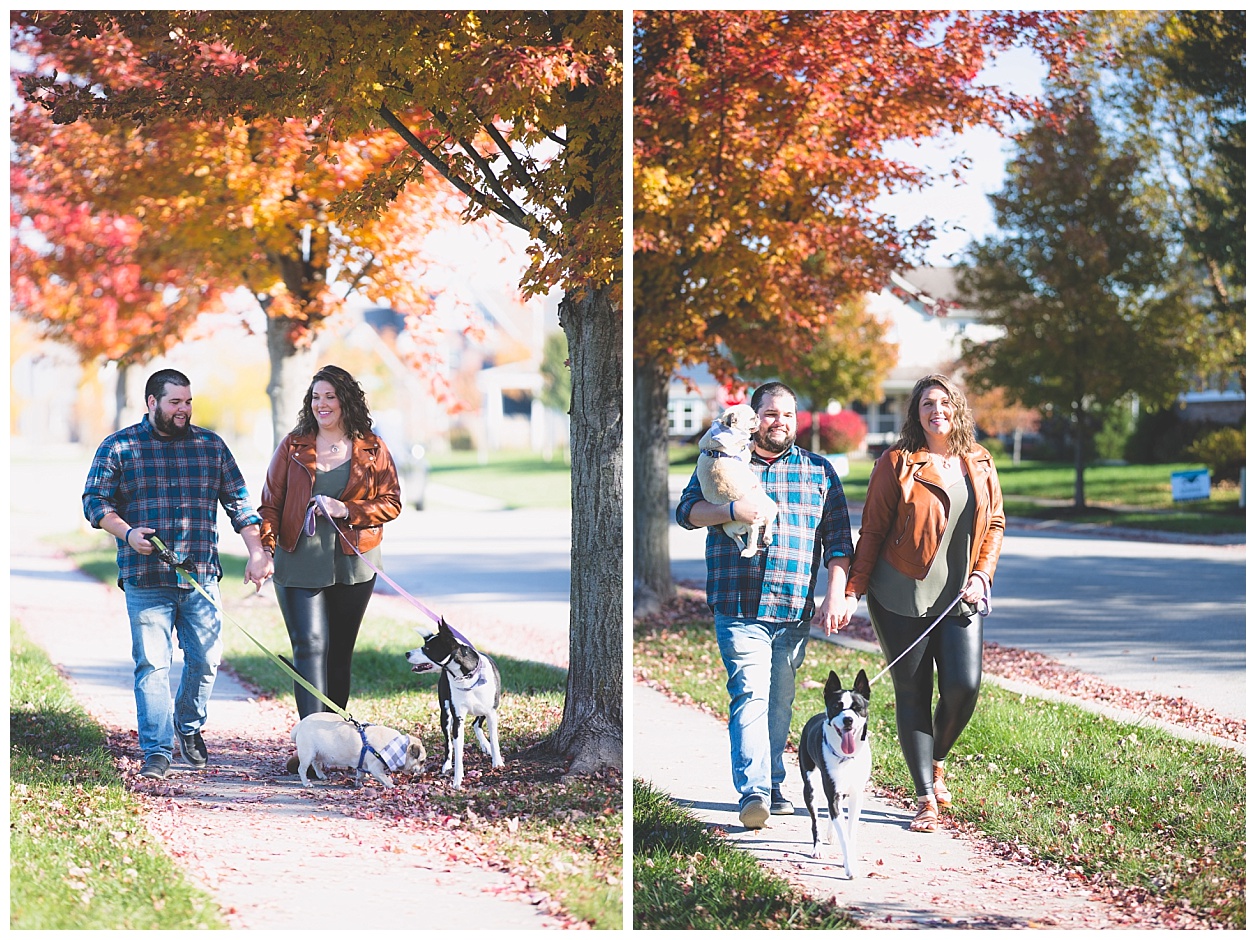 fall-pet-photos-noblesville-IN-molliewenzelphotography (24).jpg
