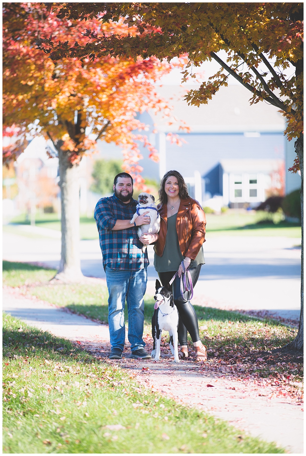 fall-pet-photos-noblesville-IN-molliewenzelphotography (26).jpg